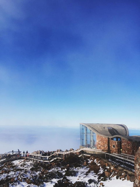 Small-Group Tour From Hobart: Mt Wellington, Bonorong Wildlife Park And Richmond - Accommodation Australia 2