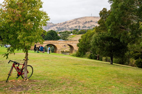 Small-Group Tour From Hobart: Mt Wellington, Bonorong Wildlife Park And Richmond - Accommodation Australia 14