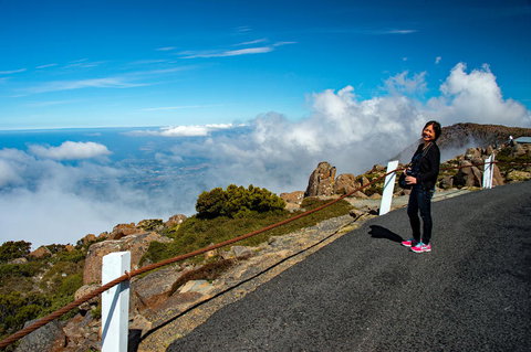 Small-Group Tour From Hobart: Mt Wellington, Bonorong Wildlife Park And Richmond - Accommodation Australia 12