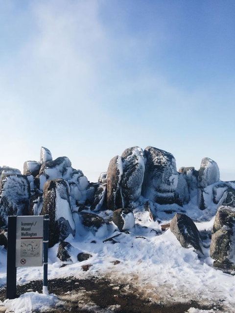 Small-Group Tour From Hobart: Mt Wellington, Bonorong Wildlife Park And Richmond - Accommodation Australia 3