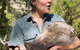 Small-Group Tour From Hobart: Mt Wellington, Bonorong Wildlife Park And Richmond - thumb 8