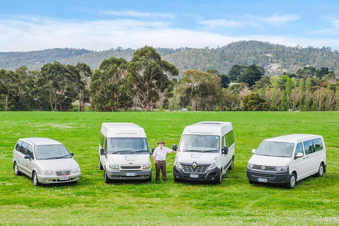 Small-Group Tour From Hobart: Mt Wellington, Bonorong Wildlife Park And Richmond - Accommodation Australia 21