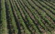 Full Day 'Two Valleysâ€™- Derwent & Huon Grazing Tour - thumb 0