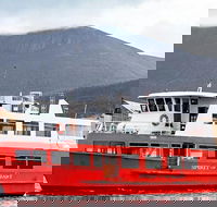 Mt Wellington and Harbour Cruise combo - Accommodation Australia