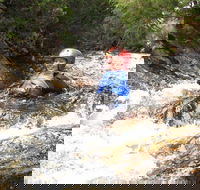 Half Day Cradle Mountain Canyoning Lost World Canyon - Local Tourism