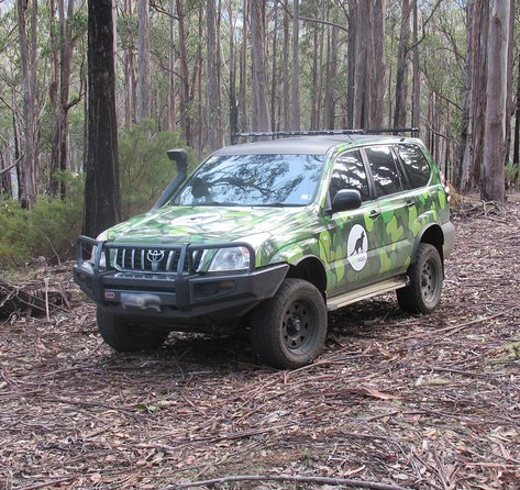 Wildlife Day Tour (4+ Hours, $195 Per Person) - Accommodation Australia 6