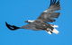 Wildlife Day Tour (4+ Hours, $195 Per Person) - thumb 1