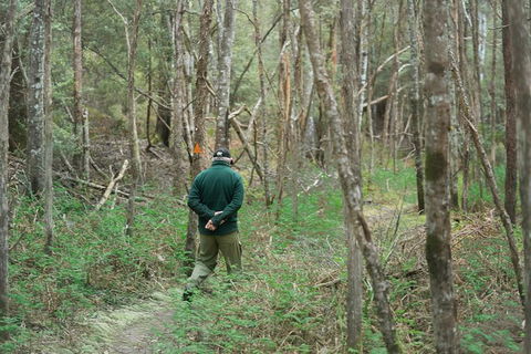 Wildlife Day Tour (4+ Hours, $195 Per Person) - Accommodation Australia 12