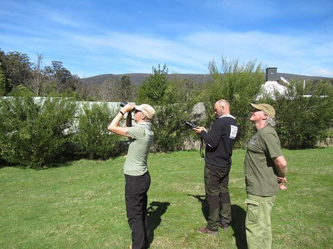 Wildlife Day Tour (4+ Hours, $195 Per Person) - Accommodation Australia 9