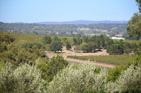 Barossa Valley Food And Wine Tour - Australia Shopping 2