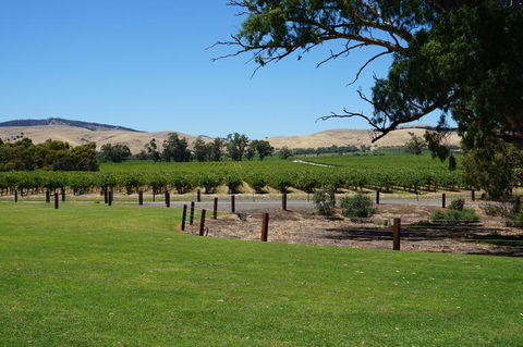 Barossa Valley With Hahndorf Tour From Adelaide - Local Tourism 3