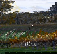 Barossa Valley with Hahndorf Tour from Adelaide - Local Tourism