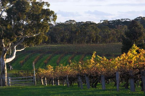 Barossa Valley With Hahndorf Tour From Adelaide - Local Tourism 0
