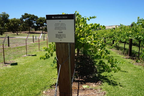 Barossa Valley With Hahndorf Tour From Adelaide - Local Tourism 5