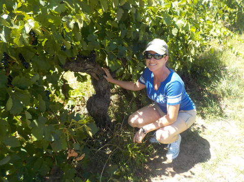 Barossa Valley Wineries Tour With Tastings And Lunch From Adelaide - Local Tourism 11