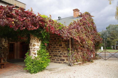 Barossa Valley Wineries Tour With Tastings And Lunch From Adelaide - Local Tourism 3