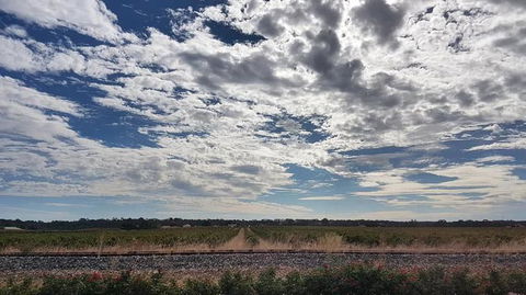 Barossa Valley Full-Day Tour From Adelaide With Maggie Beer Farm - Australia Shopping 3