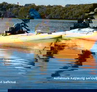 Adelaide Dolphin Sanctuary and Ships Graveyard Kayak Tour - Local Tourism