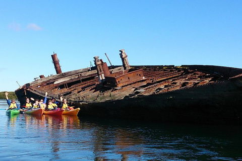 Adelaide Dolphin Sanctuary And Ships Graveyard Kayak Tour - Australia Shopping 1