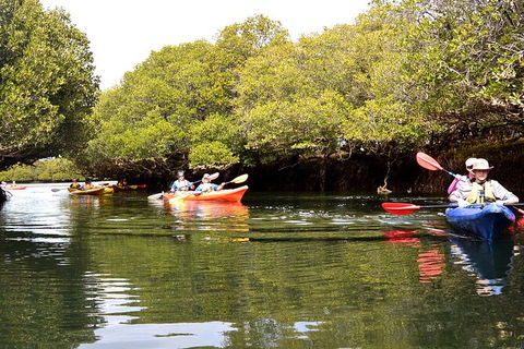 Adelaide Dolphin Sanctuary And Ships Graveyard Kayak Tour - Australia Shopping 8