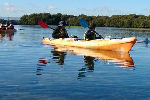 Adelaide Dolphin Sanctuary And Ships Graveyard Kayak Tour - Australia Shopping 3