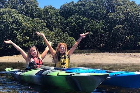 Adelaide Dolphin Sanctuary And Ships Graveyard Kayak Tour - Australia Shopping 4