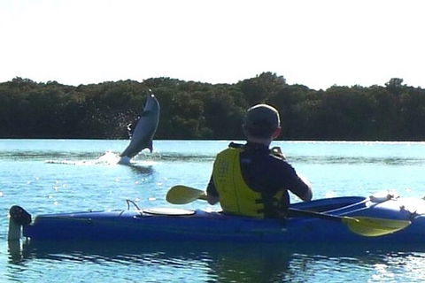 Adelaide Dolphin Sanctuary And Ships Graveyard Kayak Tour - Australia Shopping 2