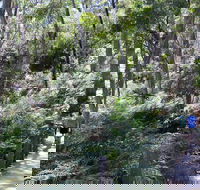 Self-Guided Waterfall Gully to Mount Lofty Hike from Adelaide - Local Tourism
