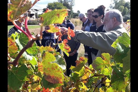 Barossa Valley Via Hahndorf ( Historical German Village ) Inc Maggie Beers Farm - Australia Shopping 4