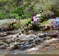 Small Group Bush Walk  BBQ with Wine Day Trip from Adelaide - Local Tourism
