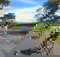 McLaren Vale Wine Tour by Bike - Local Tourism