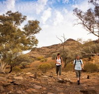 Flinders Ranges 3 Day 4WD Small Group Eco Tour from Adelaide - Local Tourism
