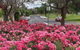 Adelaide Walking Tour: Hills, Squares And Parklands - thumb 6
