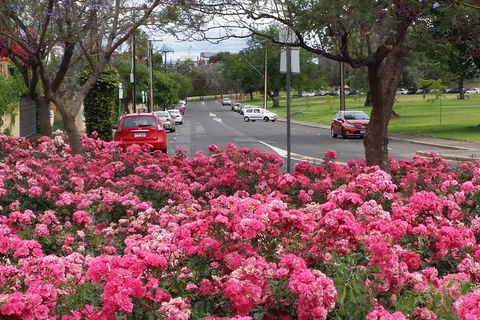 Adelaide Walking Tour: Hills, Squares And Parklands - Accommodation Australia 6