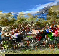 McLaren Vale Shiraz Trail Cycling Tour from Adelaide - Local Tourism
