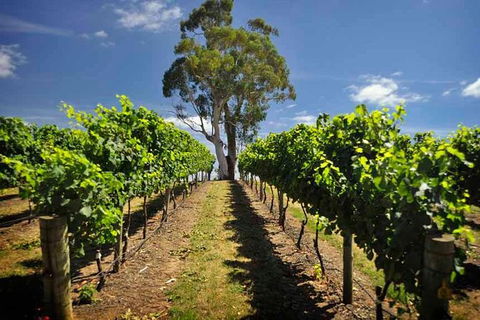 Small Group Adelaide Hills And Hahndorf Hideaway Tour From Adelaide - Local Tourism 5