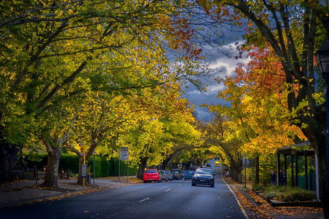 Small Group Adelaide Hills And Hahndorf Hideaway Tour From Adelaide - Local Tourism 8