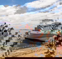 Coorong Discovery Cruise - Local Tourism