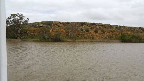 Murray River Riverboat Tour Including Lunch From Adelaide - Accommodation Australia 9