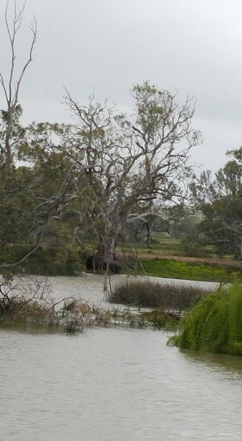Murray River Riverboat Tour Including Lunch From Adelaide - Accommodation Australia 2