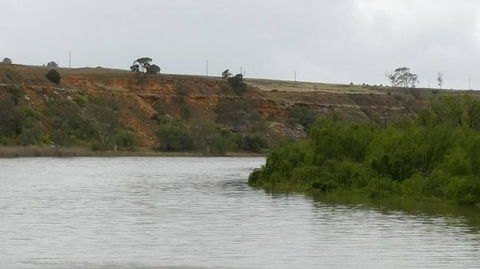 Murray River Riverboat Tour Including Lunch From Adelaide - Accommodation Australia 6