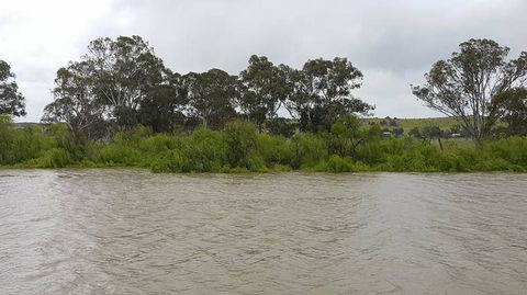 Murray River Riverboat Tour Including Lunch From Adelaide - Accommodation Australia 10