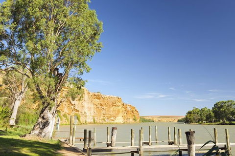 Murray River Riverboat Tour Including Lunch From Adelaide - Accommodation Australia 1