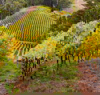 Private Adelaide Hills Wine Region Tour - Local Tourism