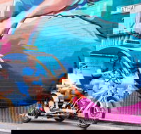 Adelaide 90-Minute Pedicab Tour Street Art Experience - Local Tourism