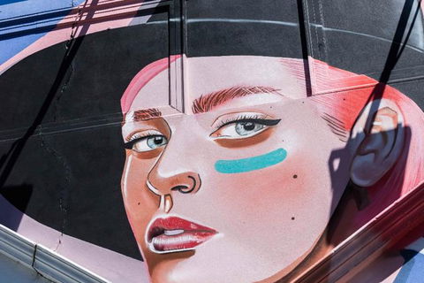 Adelaide 90-Minute Pedicab Tour: Street Art Experience - Local Tourism 6