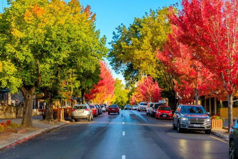 Adelaide City Highlights With Hahndorf And Mt. Lofty - Accommodation Australia 7