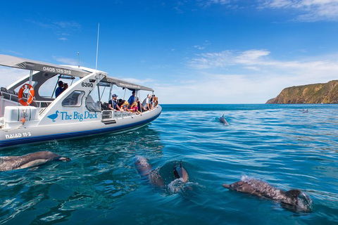 Victor Harbor And McLaren Vale Wine Region Day Tour - Local Tourism 6