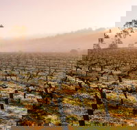 Barossa Valley Private Tour It's your tour the way you want it. - Local Tourism