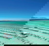 Coffin Bay Day Tour - A Taste of Coffin Bay - Local Tourism